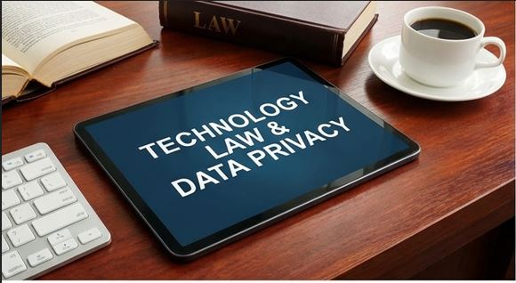 Professional Background